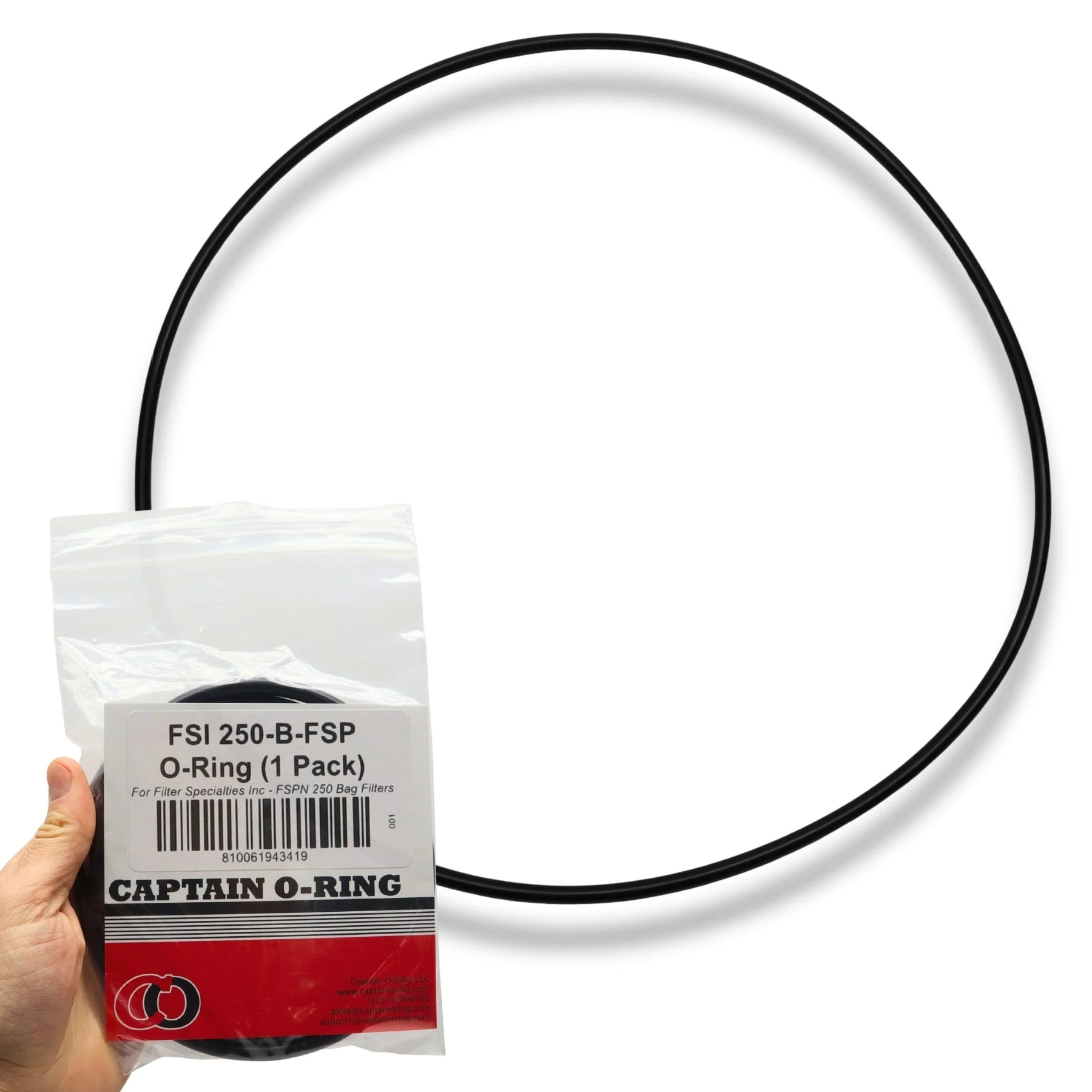 250-B-FSP O-Ring Gasket for FSI FSPN 250 Bag Filter