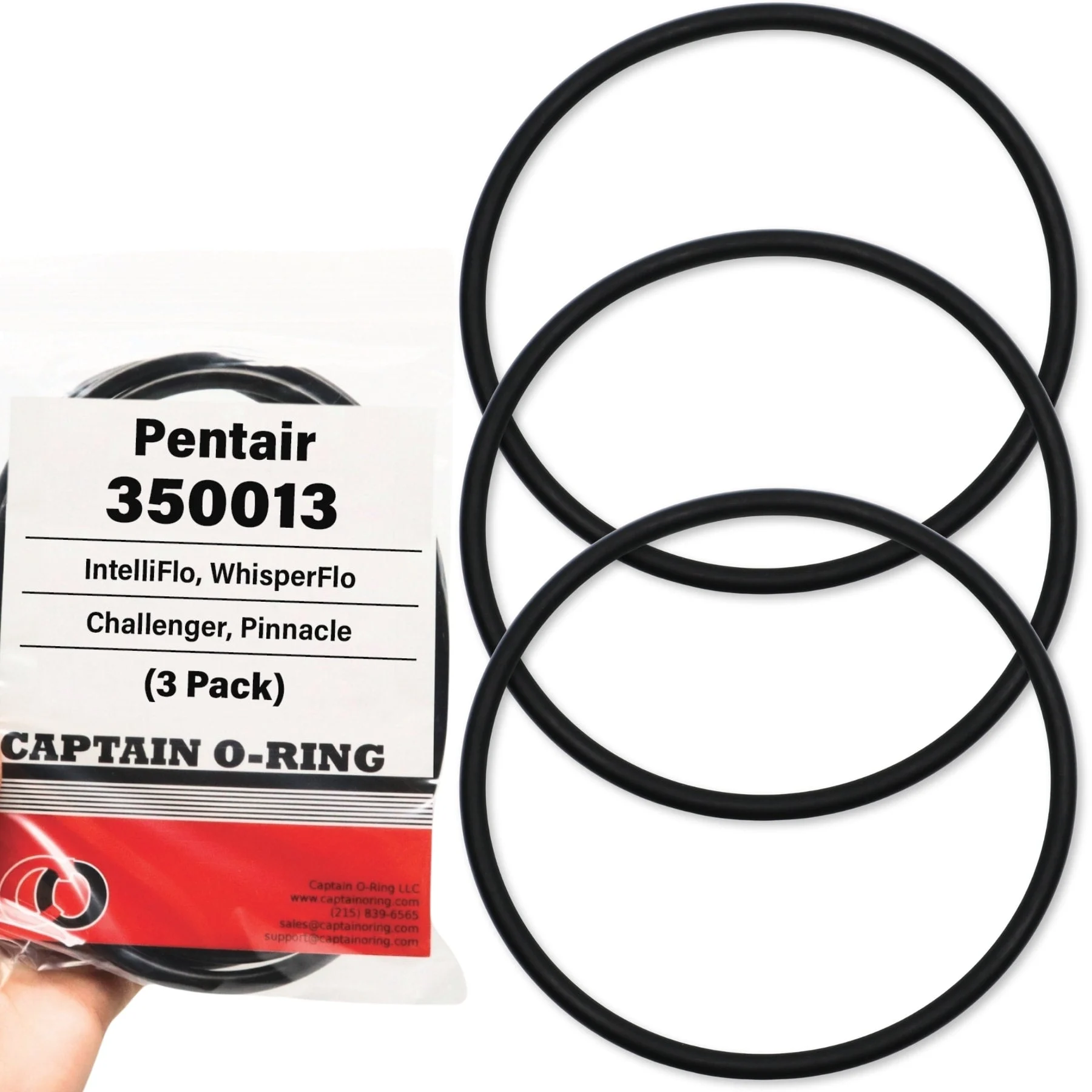 350013 Lid O-Ring - Compatible with Pentair IntelliFlo, WhisperFlo, Challenger and Pinnacle Pool and Spa Pumps (3 Pack)