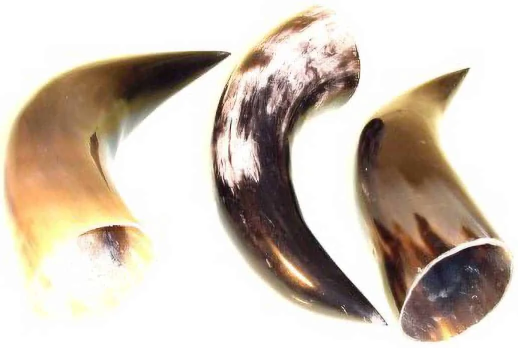 Blank Horn – Multi-Color – 10 to 14in