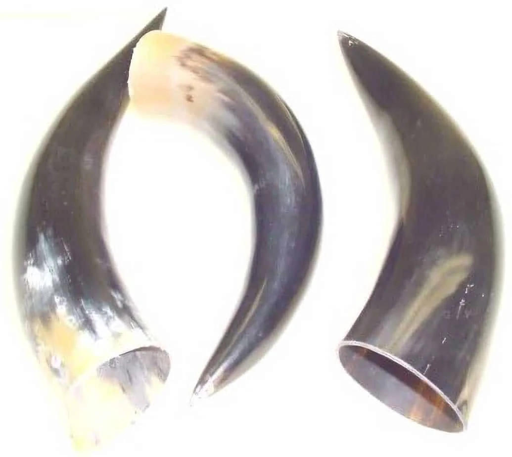 Blank Horn – Solid Color – 6 to 9in