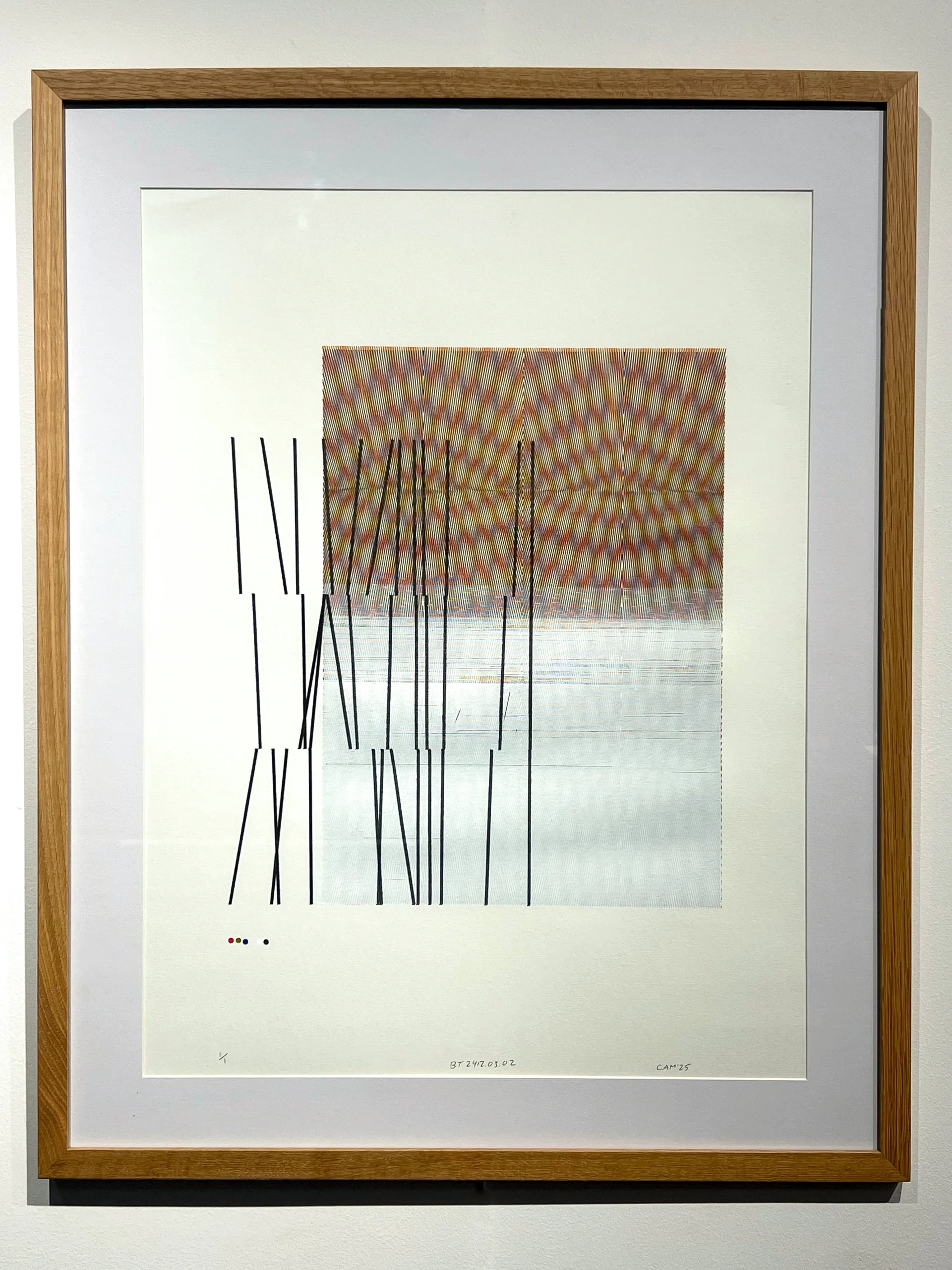Joel Cammarata | BT.2412.03.02