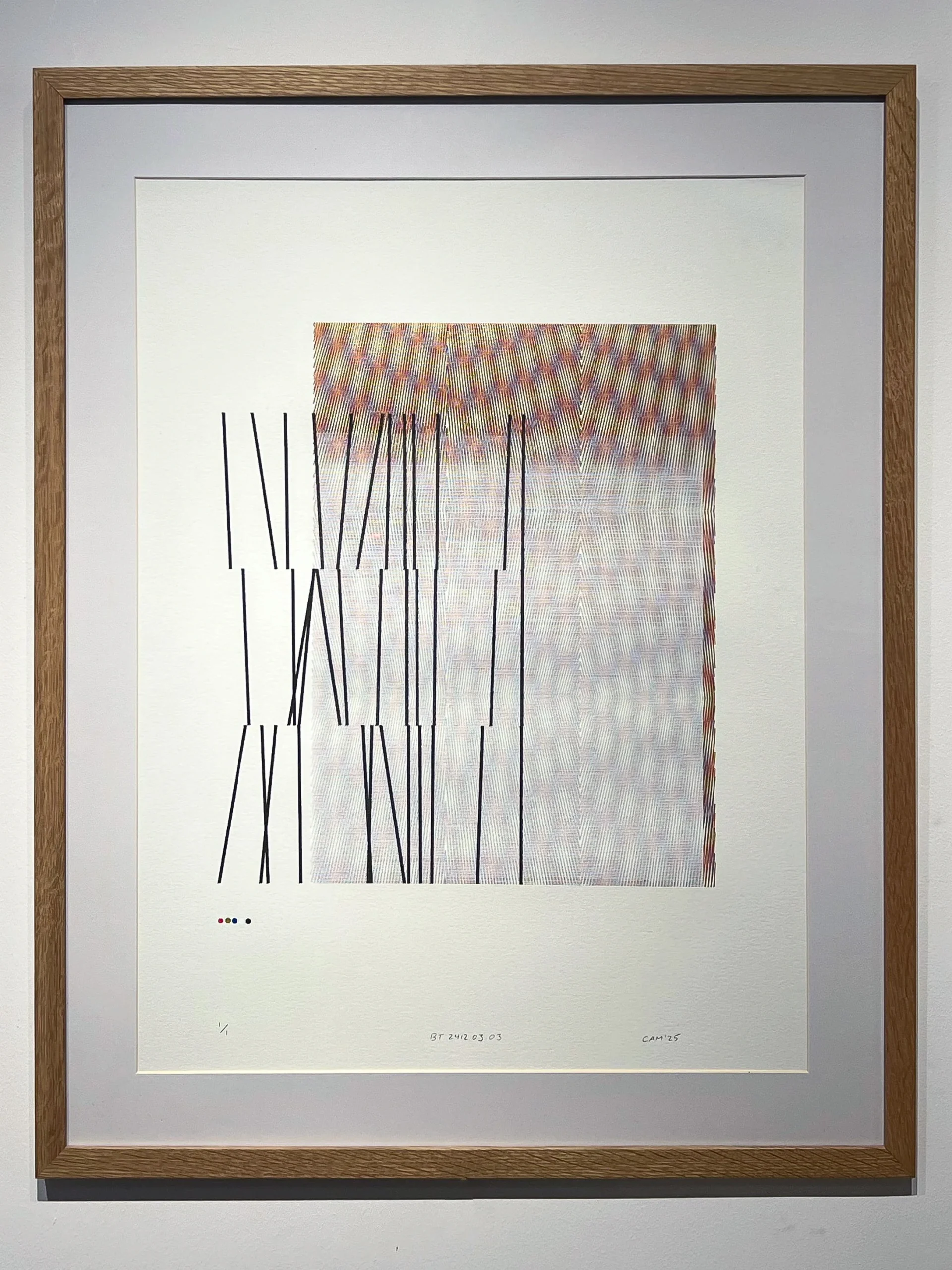 Joel Cammarata | BT.2412.03.03