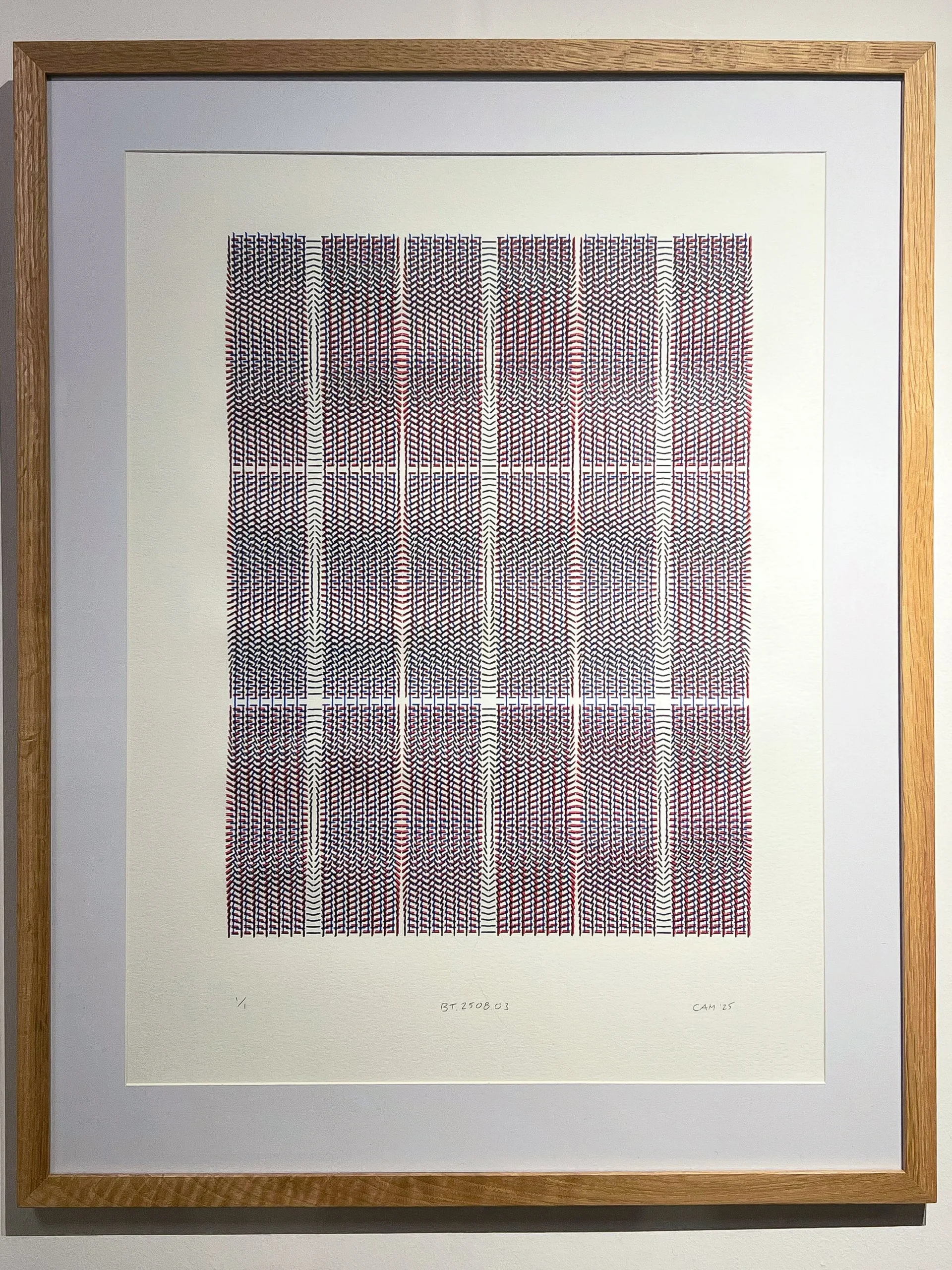 Joel Cammarata | BT.2508.03