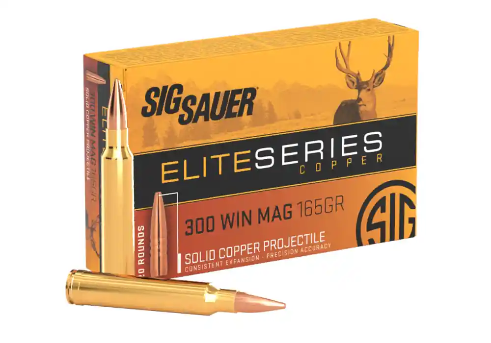 300 WIN MAG, 165GR, ELITE COPPER HUNTING
