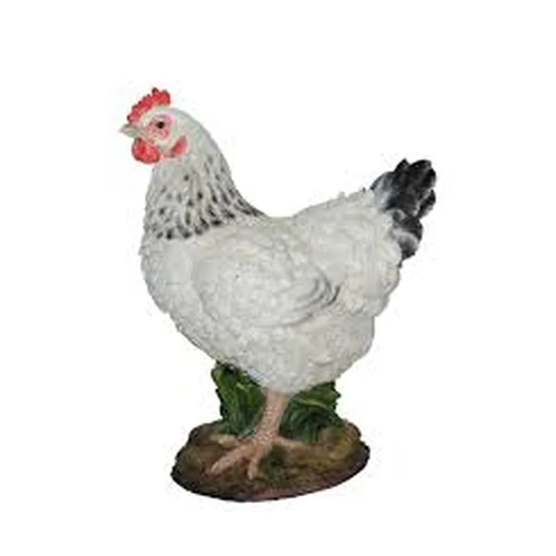 Black/White Summer Hen D