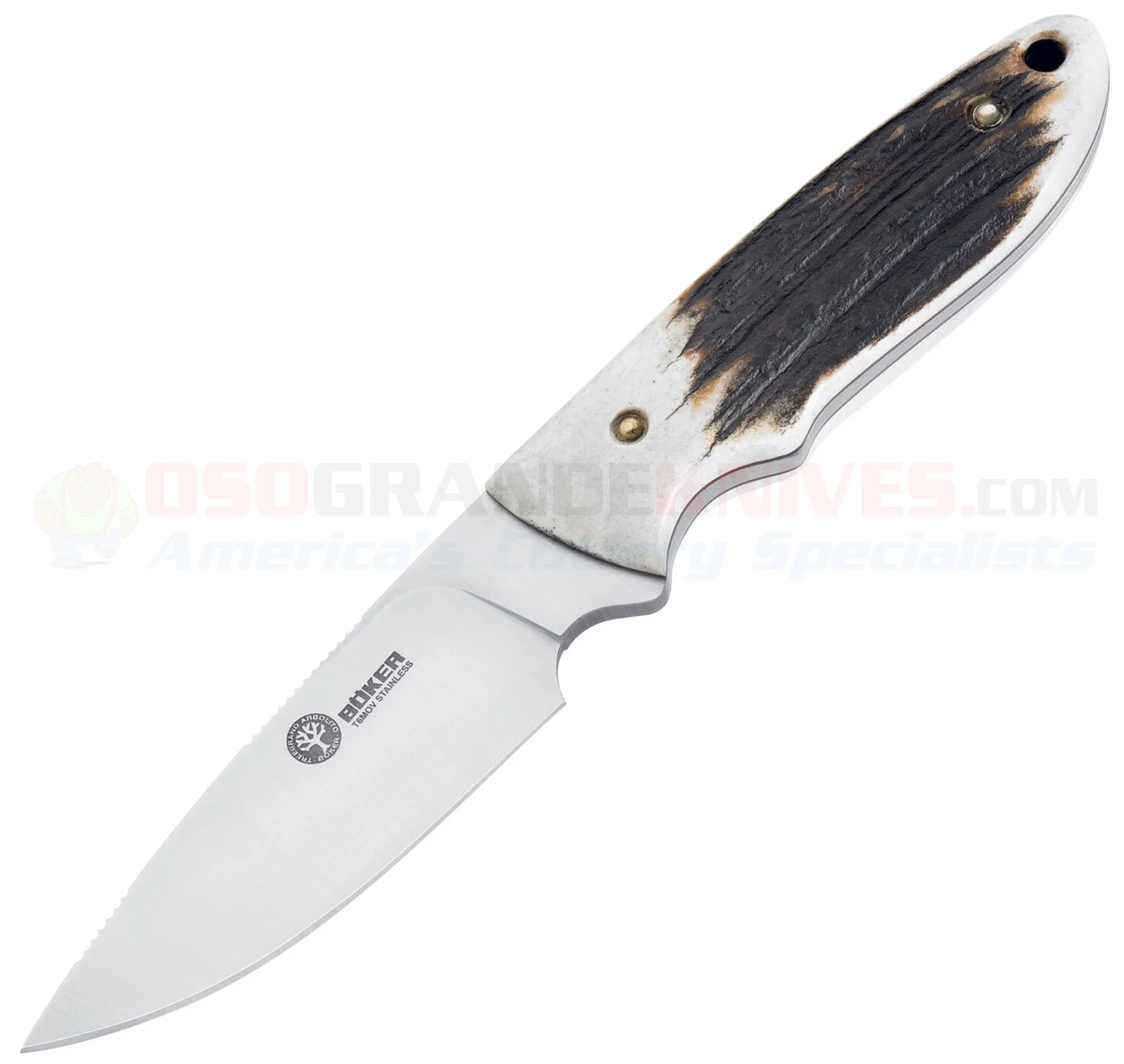 Boker Arbolito Pine Creek Stag Hunting Knife Fixed (3.63 Inch T6MoV Satin Plain Blade) Stag Handle + Leather Sheath 02BA701H