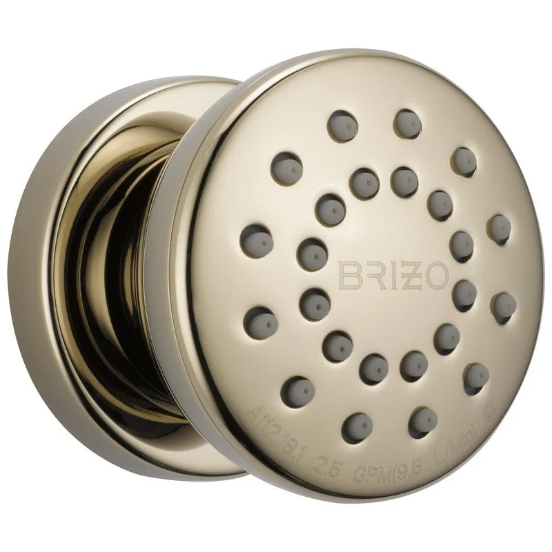 Brizo Essential Single Function Body Spray in Polished Nickel | Ferguson