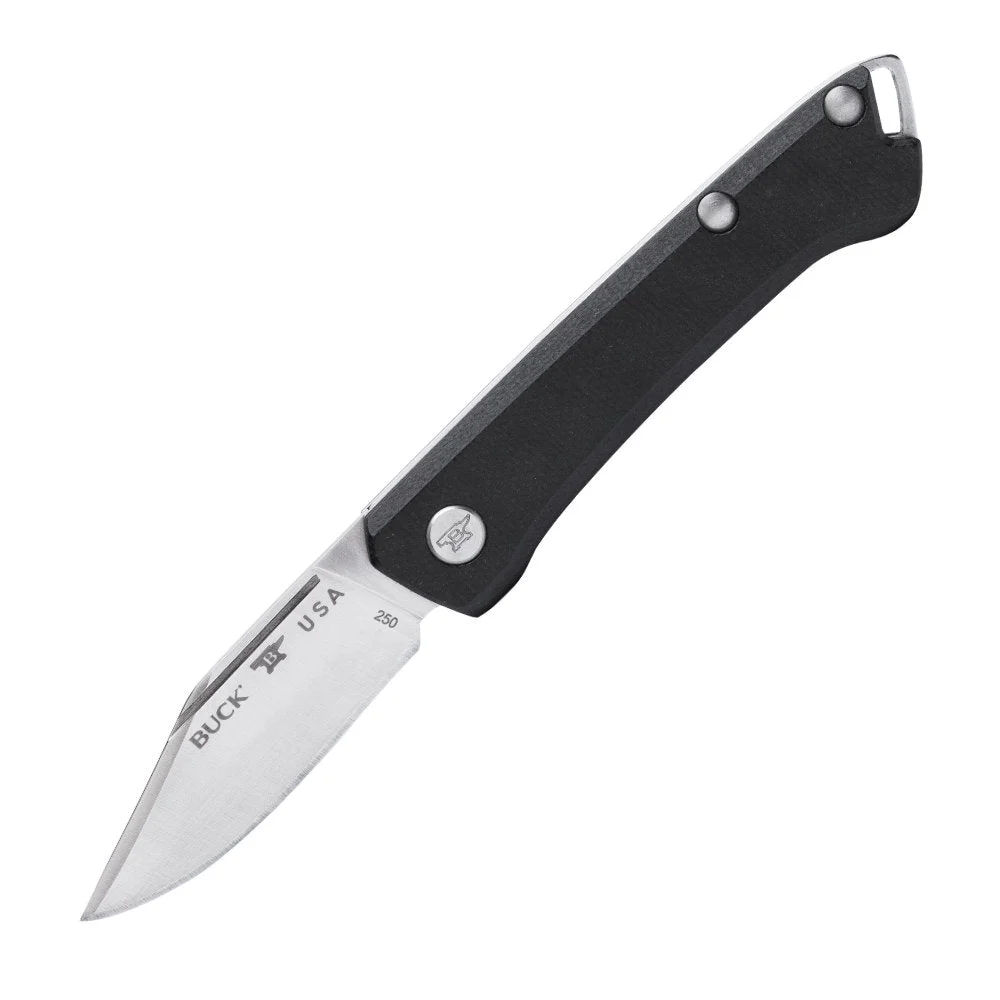 Buck 250 Saunter Clip Point Folding Knife