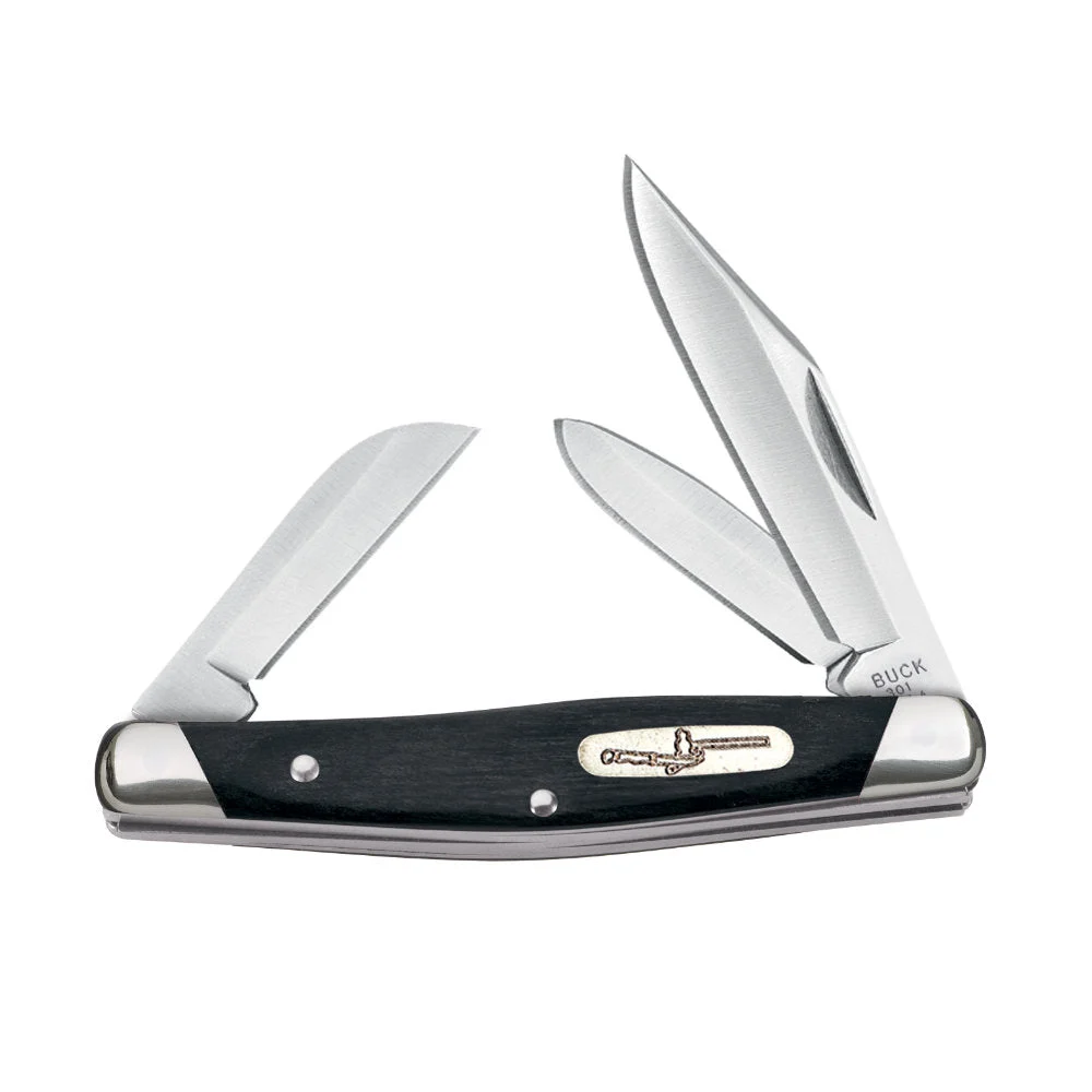 Buck 301 Stockman Folding Pocket Knife, Black