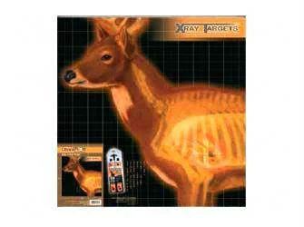 Champion Deer X-ray Target 6-pk