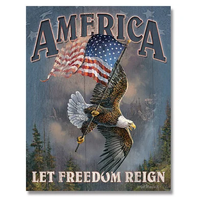 Desperate Enterprises America Let Freedom Reign Tin Sign SG1668