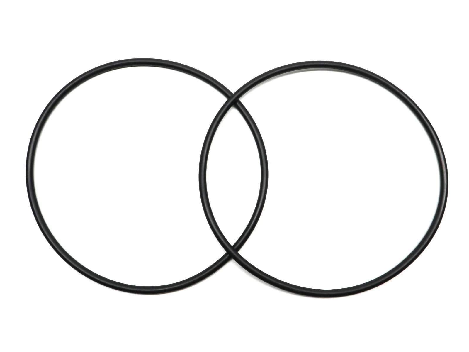 Fluval A20038 Motor Head Lid Seal O-Ring (2 Pack)