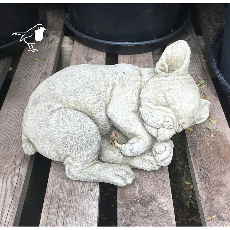 French Bulldog Puppy