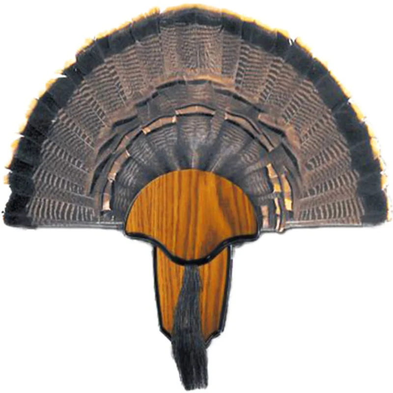 Hs Strut Mounting Kit Turkey – Tail & Beard