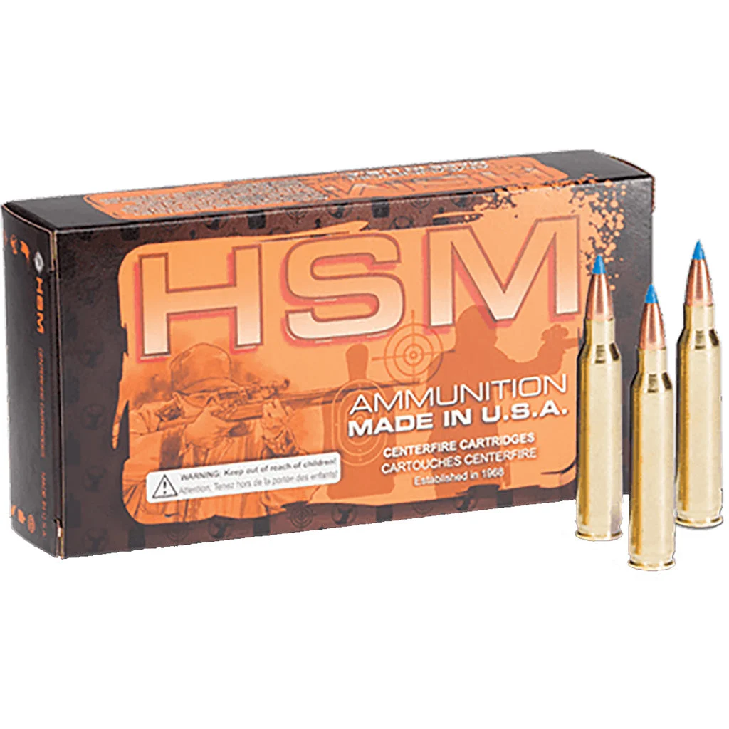 HSM Varmint .223 Remington 64 gr JSP ammo