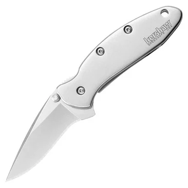 Kershaw Chive Folding Knife Stainless 1.9in Bead Blasted Plain Blade KS1600