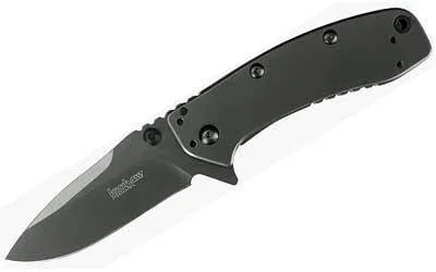 Kershaw Cryoii 3 3-8″ Titanium