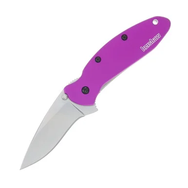 Kershaw Scallion Purple 2.4 Inch Plain Bead Blast Clip Point KS1620PUR