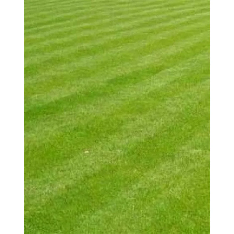 Lawn Seed Per Scoop