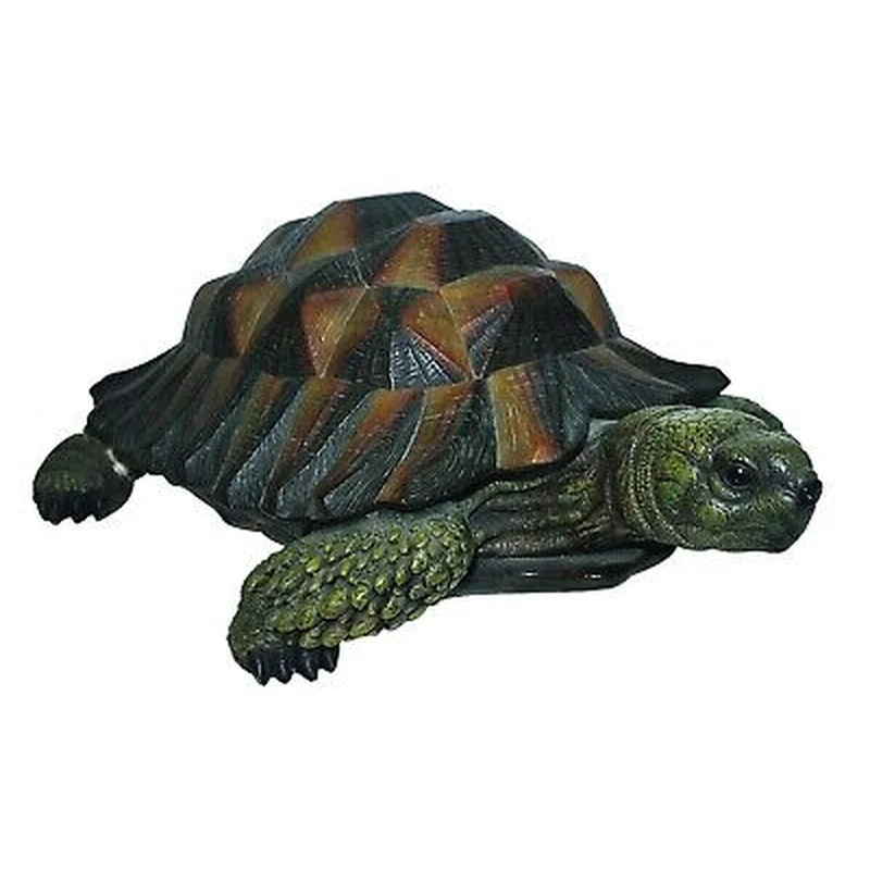 N Friends Tortoise B