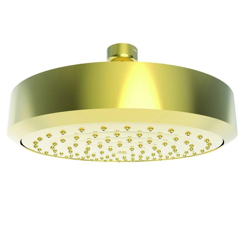 Newport Brass Contemporary Single Function Showerhead in Forever Brass – PVD | Ferguson