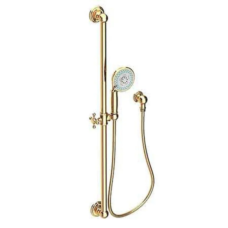 Newport Brass Multi Function Hand Shower in Uncoated Polished Brass – Living | Ferguson
