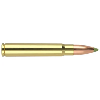 Nosler 40393 Expansion Tip E-Tip Lead-Free250 Grain 9.3x62mm Mauser