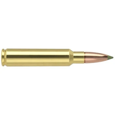 Nosler Expansion Tip .33 Nosler 225 gr PolyTip ammo