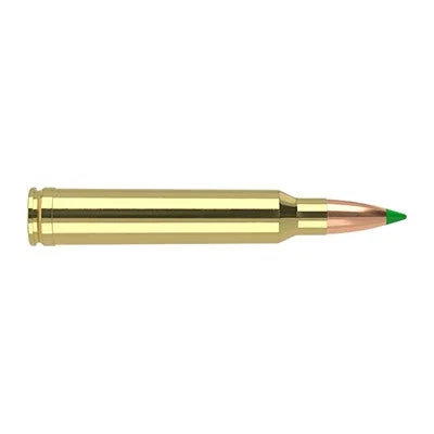 Nosler Hunting .300 Winchester Mag 180 gr PolyTip ammo