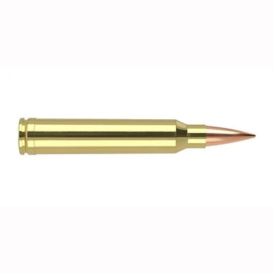 Nosler Trophy Grade .300 WSM 190 gr PolyTip ammo