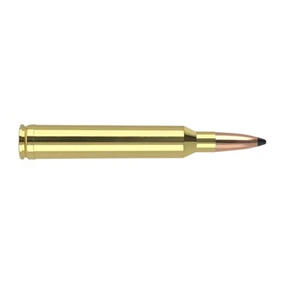 Nosler Trophy Grade 7mm STW 140 gr JSP ammo