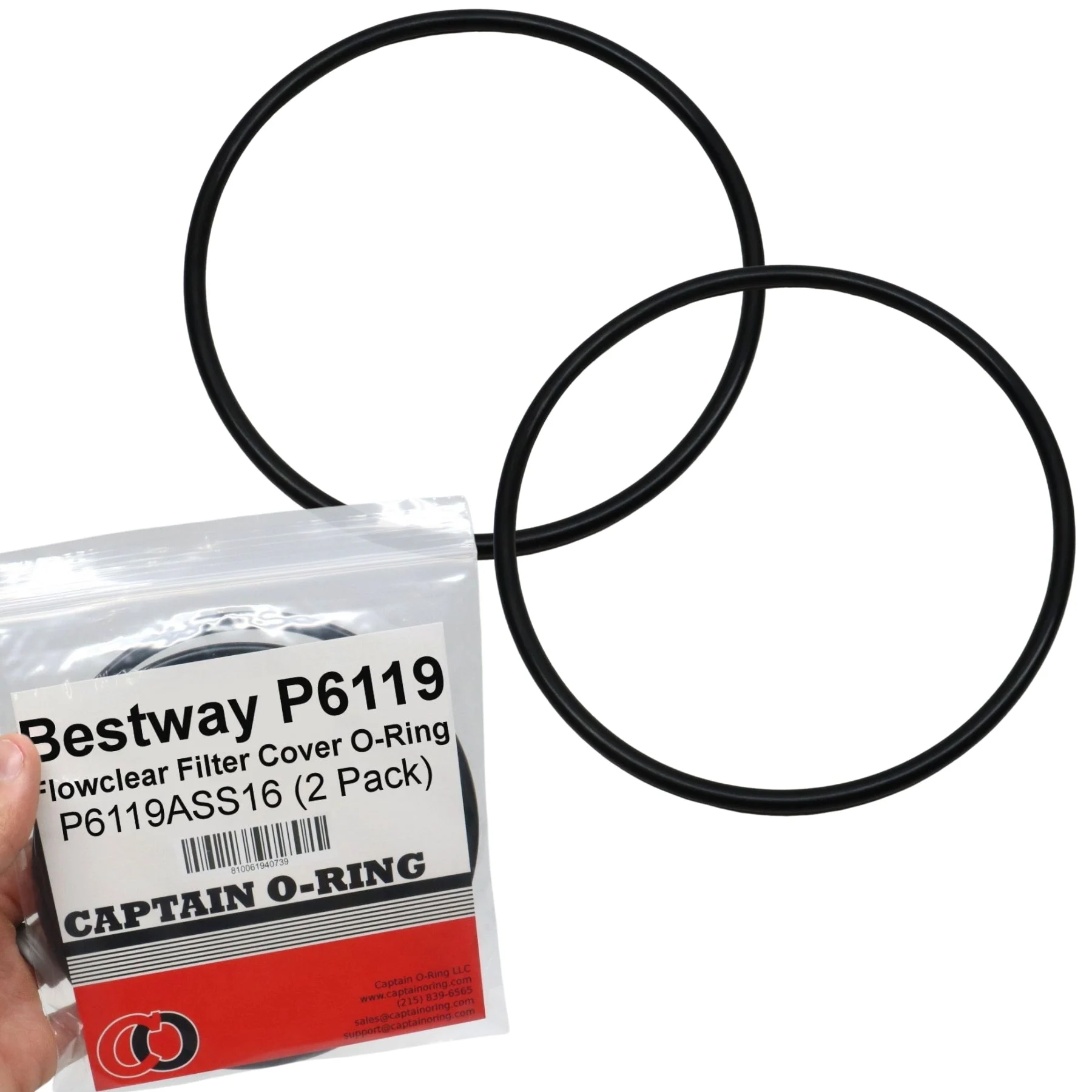P6119 (P6119ASS16) O-Ring for Bestway Flowclear Pump Filter Cap Cover (2 Pack)