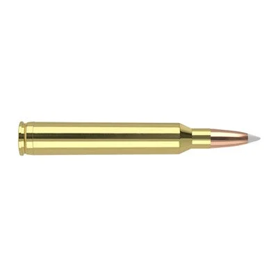 Nosler Trophy Grade 7mm STW 160 gr PolyTip ammo
