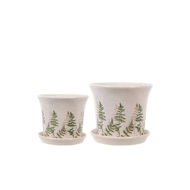 Pot with Tray Fern S 16cm x H14cm