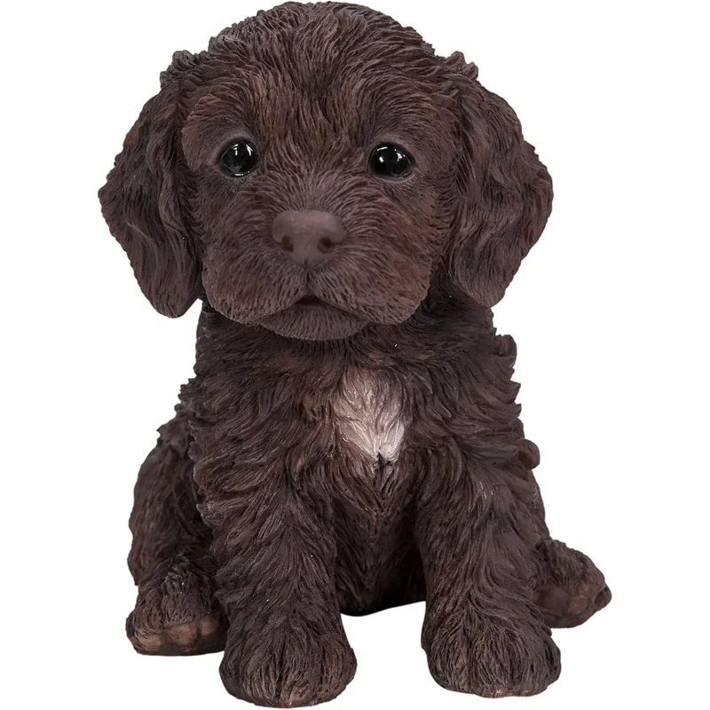 PP Cockapoo Puppy Chocolate