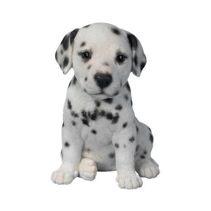 PP Dalmatian Puppy F