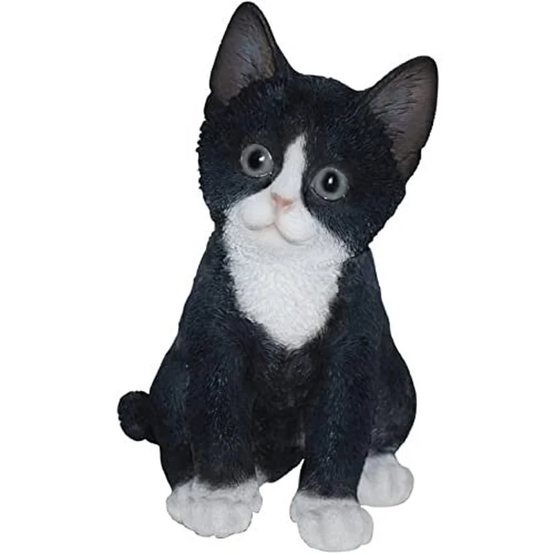 PP Kitten BLK/WHT F