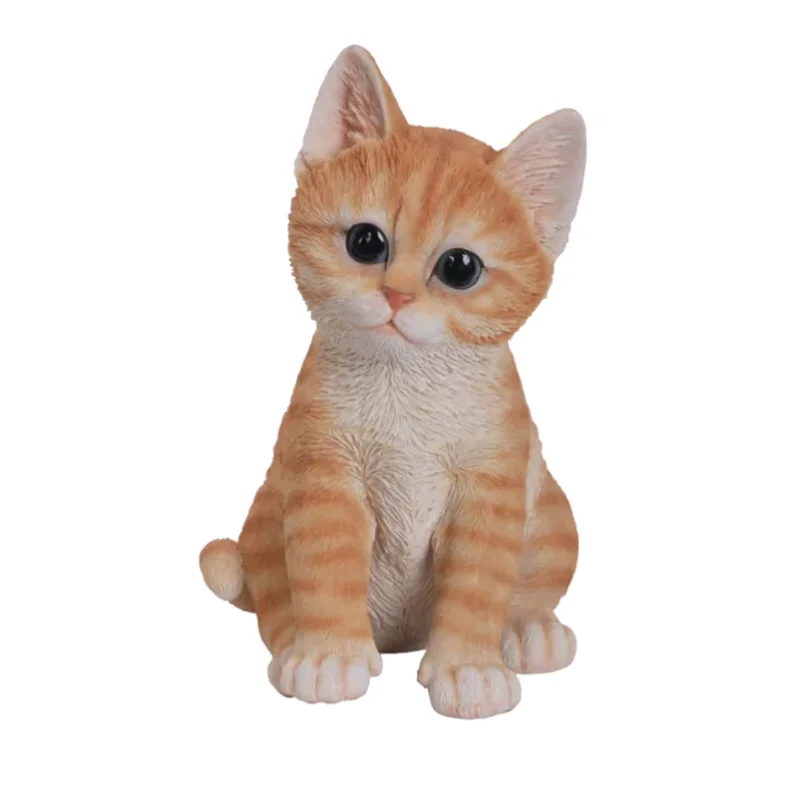 PP Kitten TABBY F