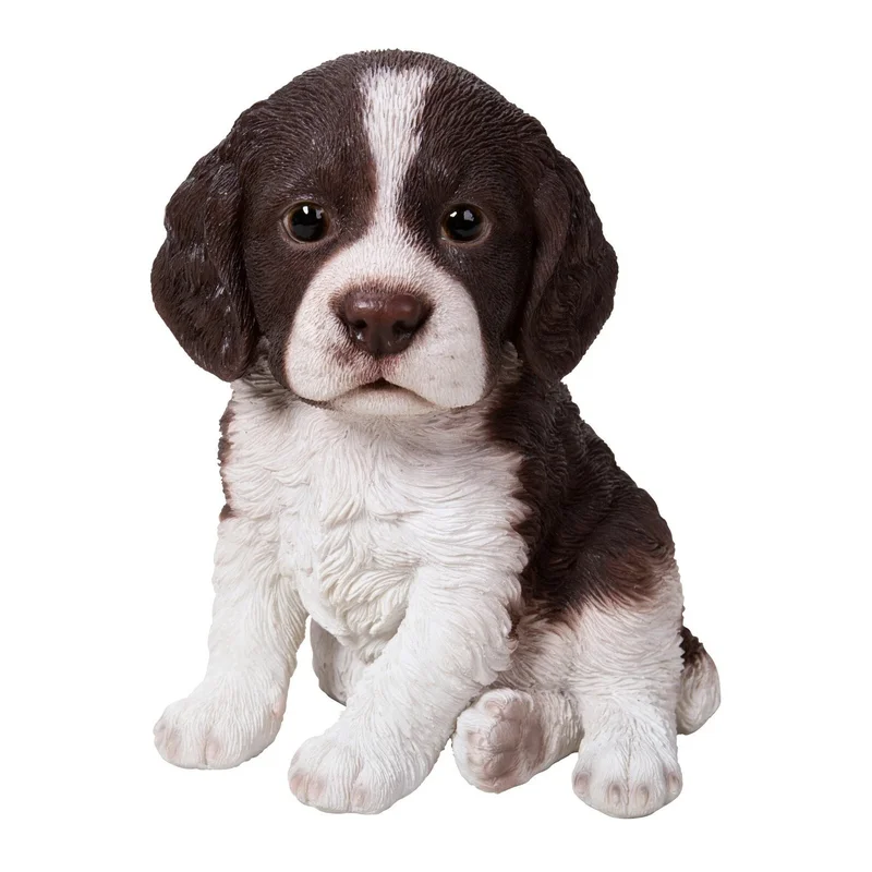 PP Springer Spaniel Pup F