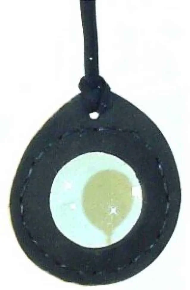 Primitive Magnifier