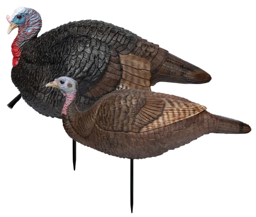 Primos Lil' Gobblestopper Jake & Hen Combo Turkey Species Multi Color