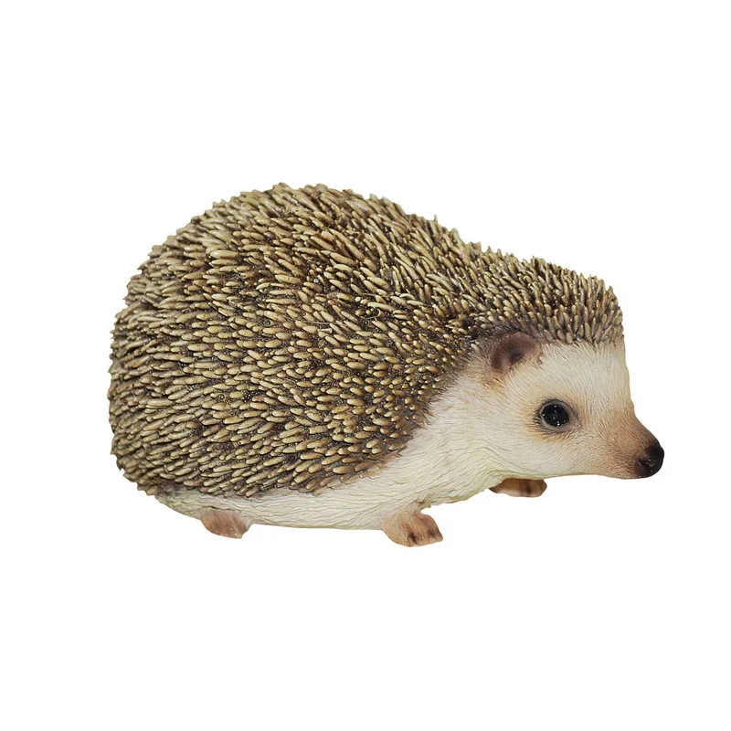 Real Life Hedgehog D