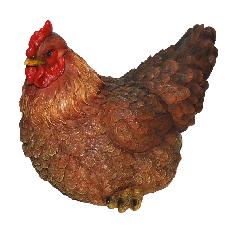 Real Life Laying Hen D