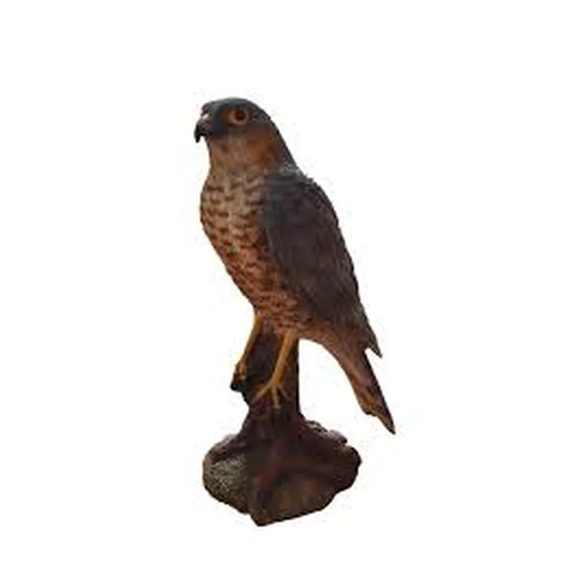 Real Life Sparrowhawk D