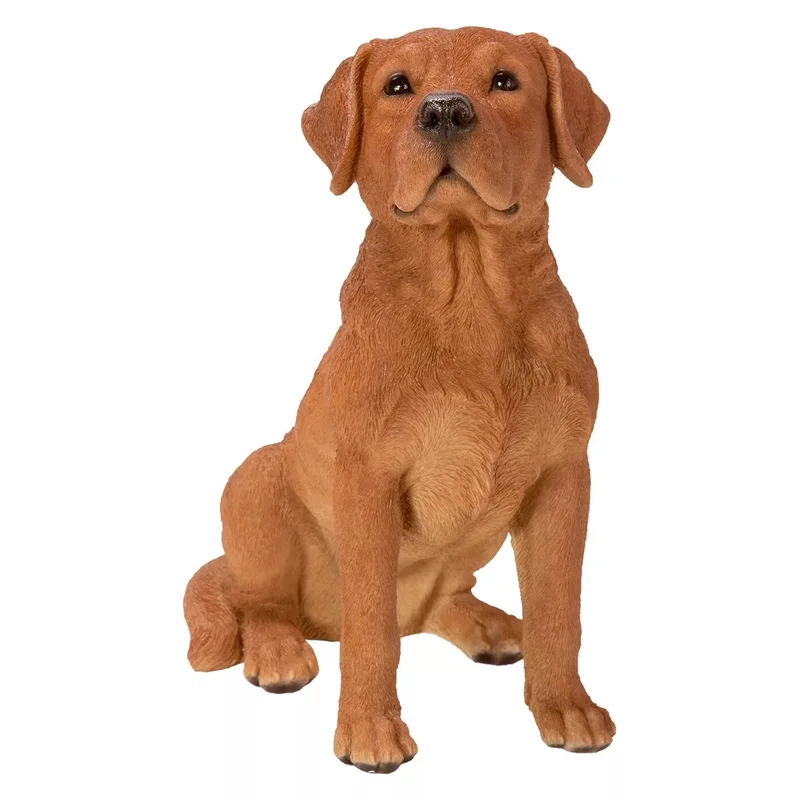 RL Fox Red Labrador B