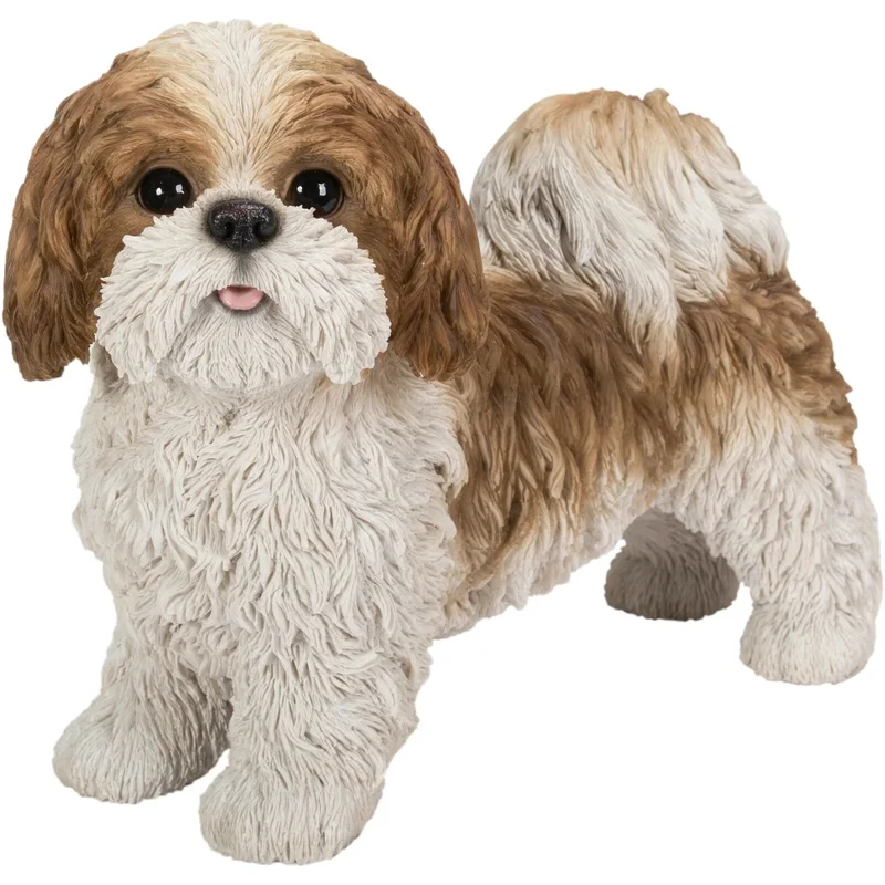 RL Shih Tzu Brown Standing B