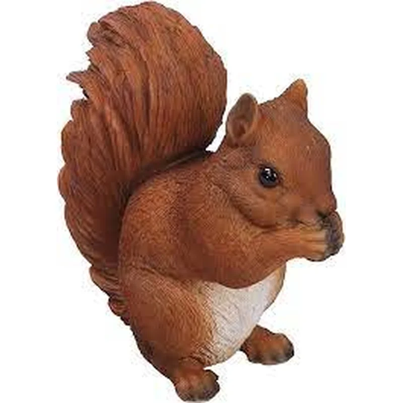 RL Sitting Red Squirrel B