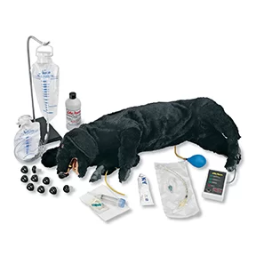 Simulaids Advanced CPR Dog