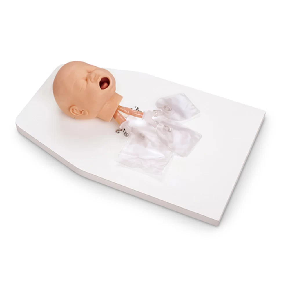 Simulaids Infant Airway Management Trainer with Stand