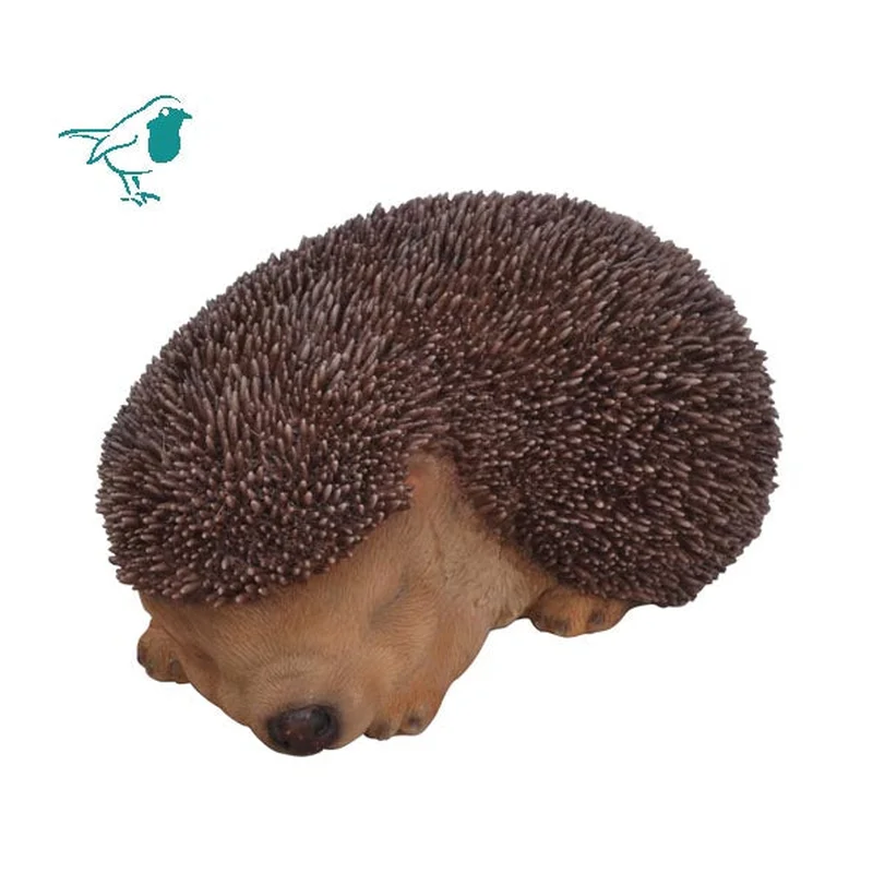 Sleeping Baby Hedgehog F